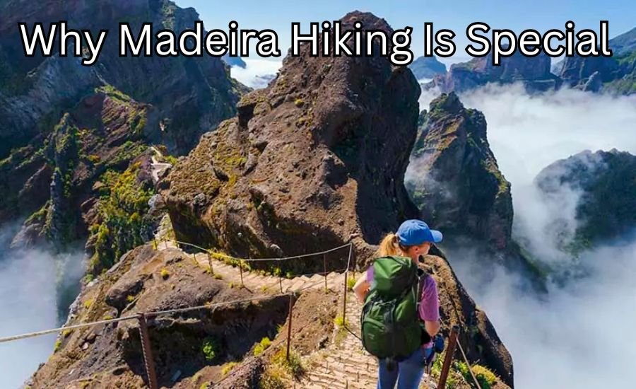 madeira hiking