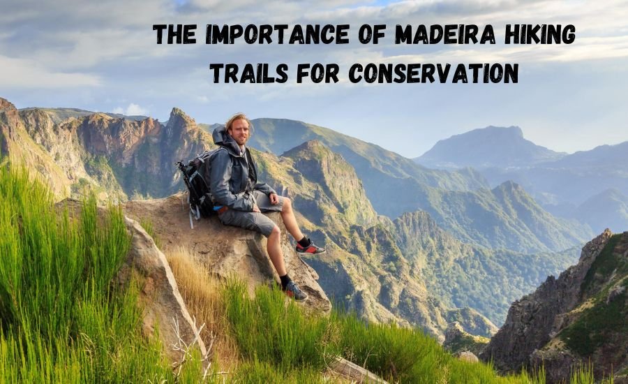 madeira hiking