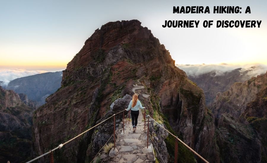 madeira hiking