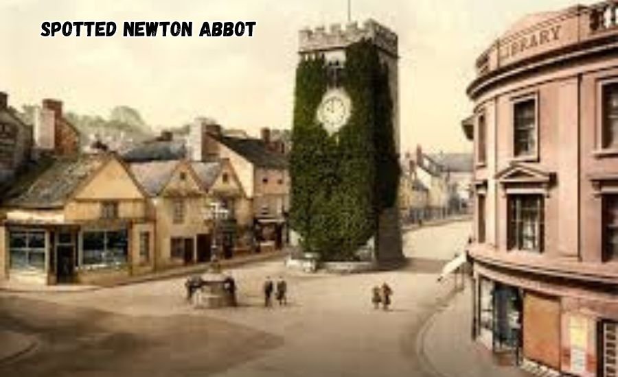 spotted newton abbot