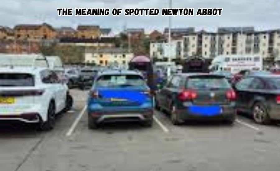 spotted newton abbot