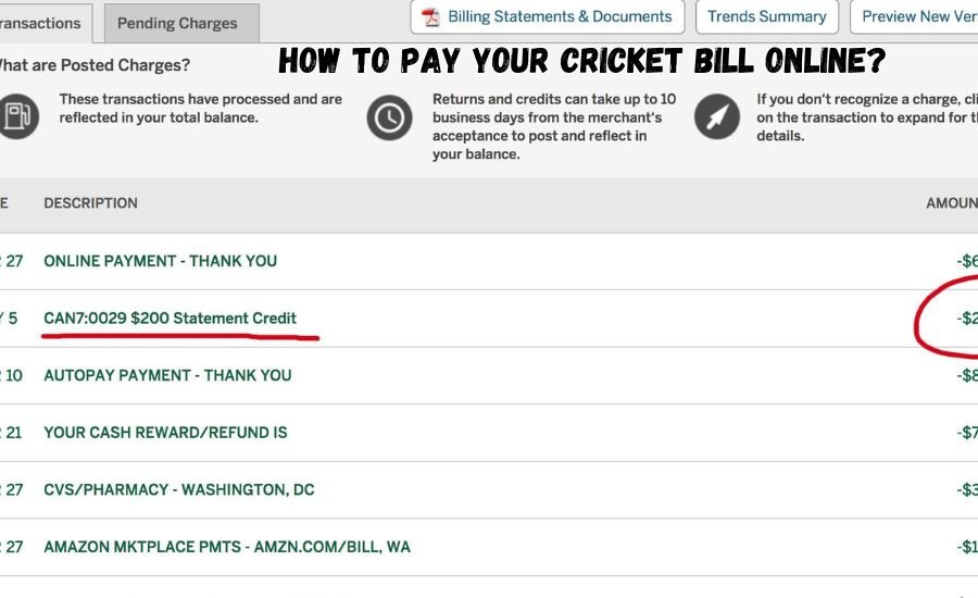 cricket bill pay