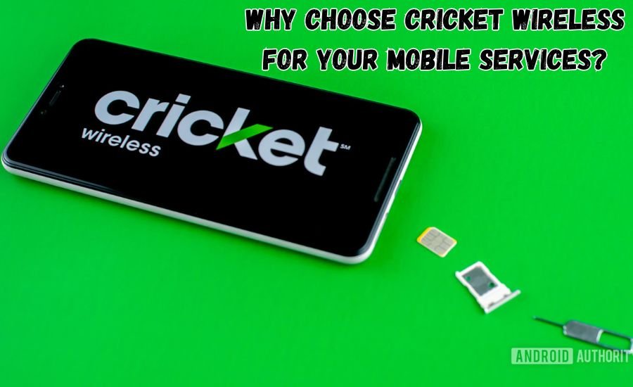 cricket pay bill