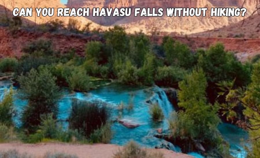 how to get to havasu falls without hiking