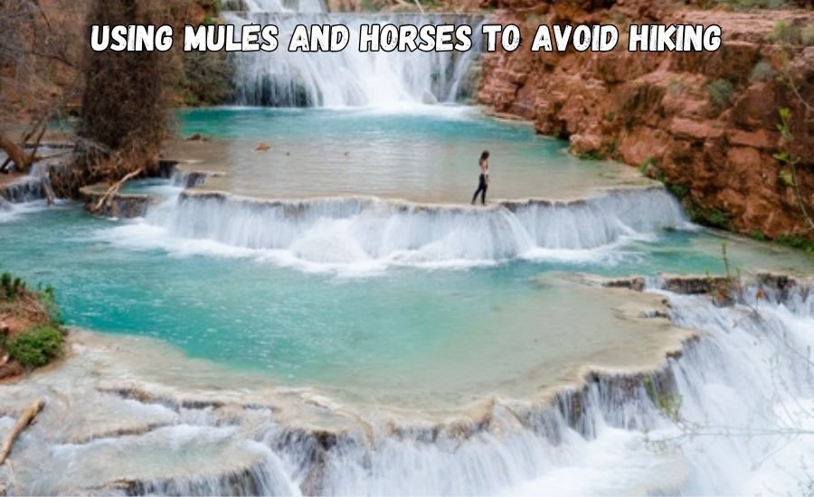 how to get to havasu falls without hiking