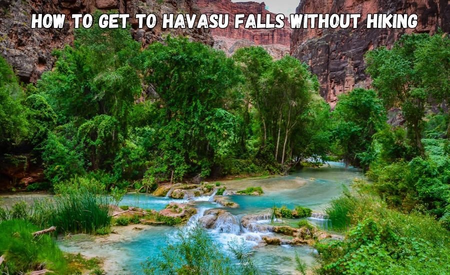 how to get to havasu falls without hiking