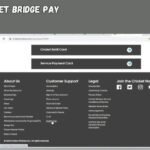 cricket bridge pay