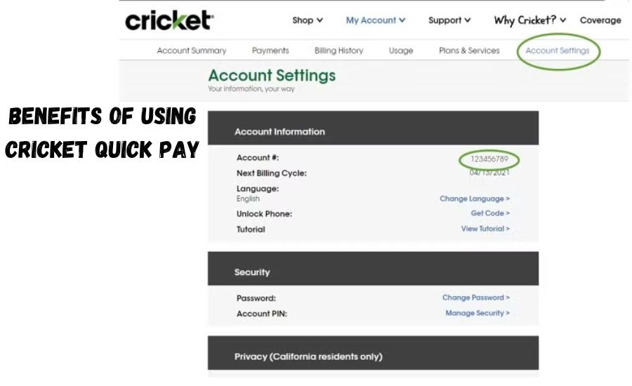 cricket quick pay